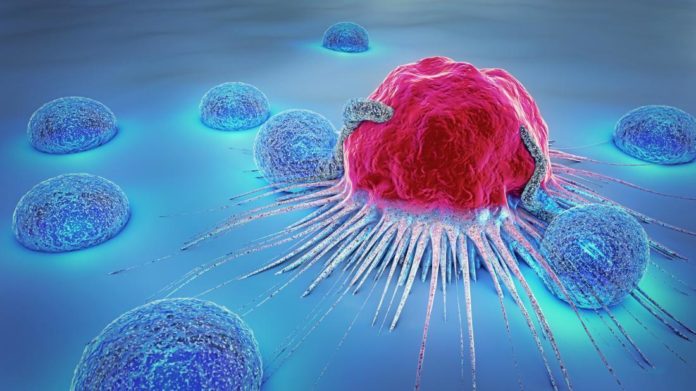 How Cancer Effect the Body
