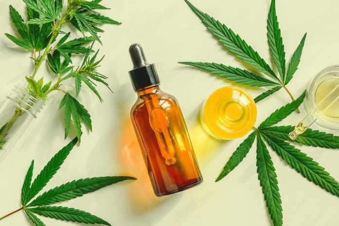 CBD Oil Beneficial for Dogs