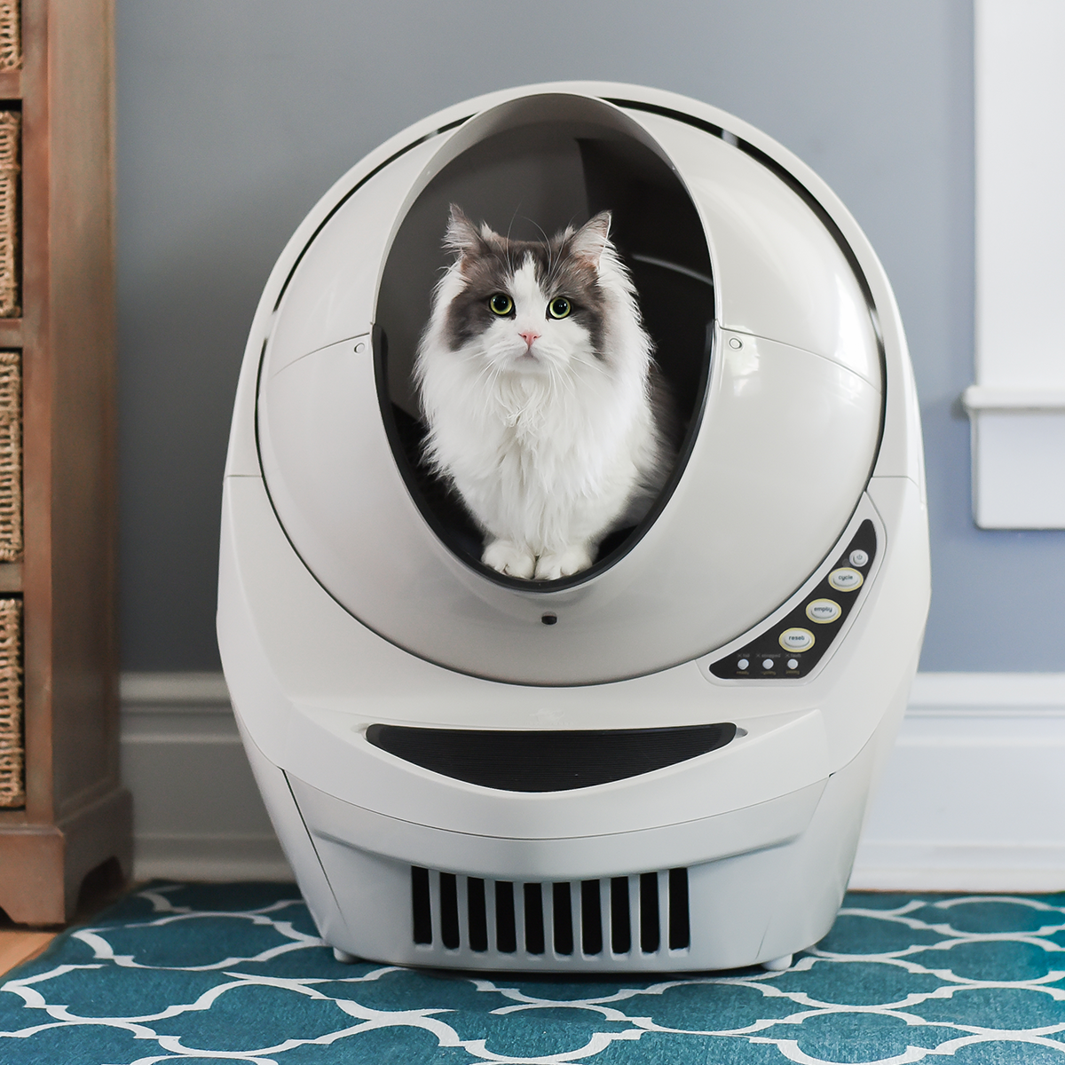 aspekt rester Resistente Meet Pet Smart Cat Litter Box (Automatic App)